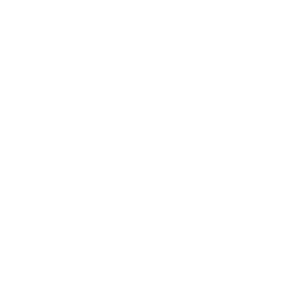 Te Putahi Projects